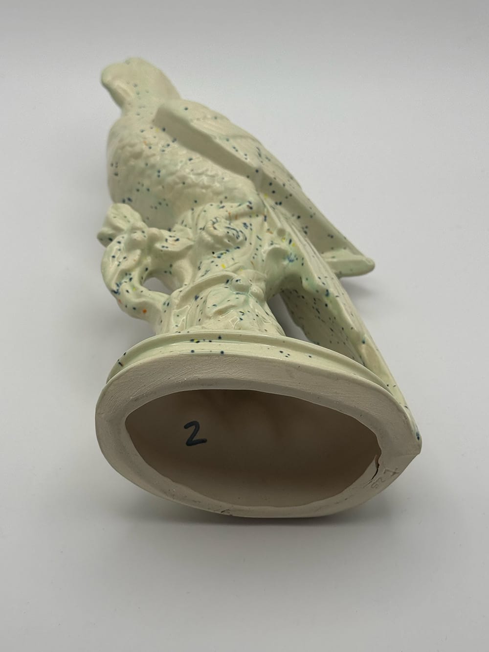 No. 2 · Parrot underside