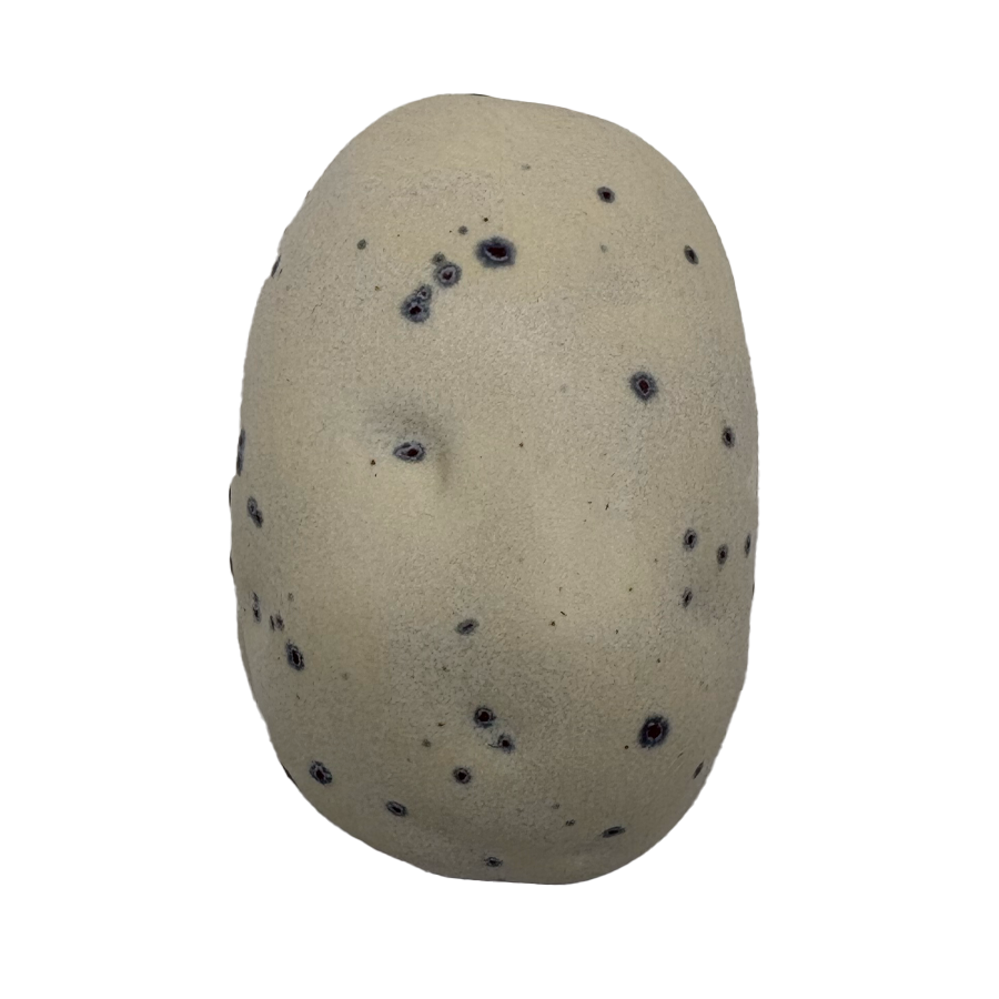 Potato Ceramic
